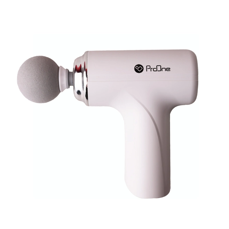 PGM203 1